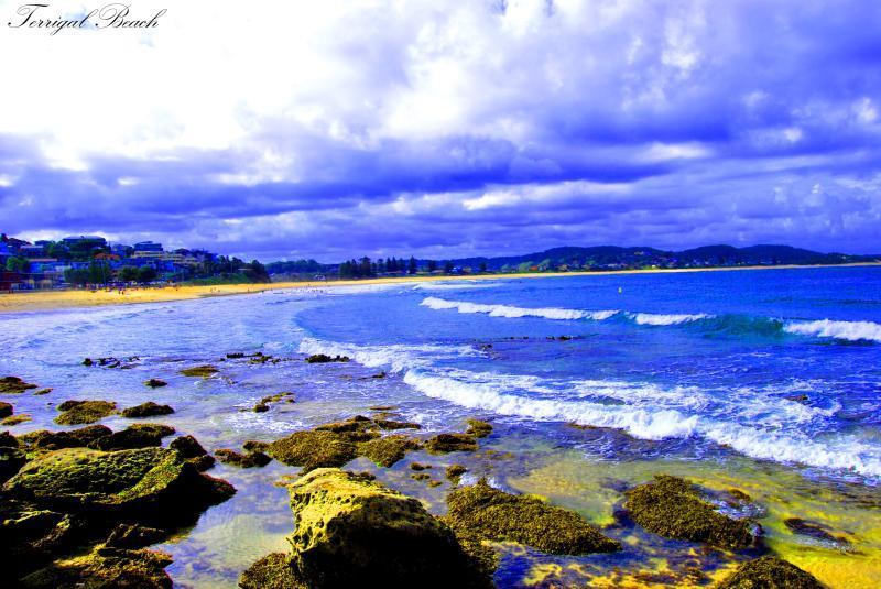 Seaside Garden Retreat Accommodation Wamberal Luaran gambar